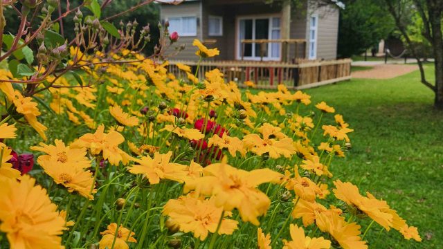 Tsitsikamma Garden Chalets