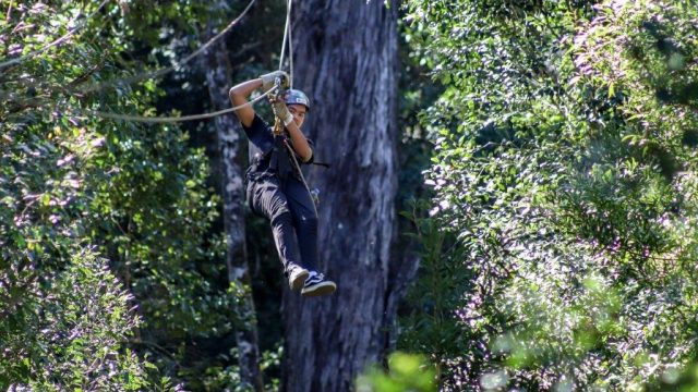 Tsitsikamma Canopy Tour