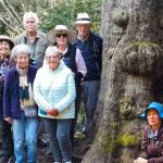 Storms River Village Dendrology Society Visit