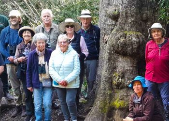 Storms River Village Dendrology Society Visit