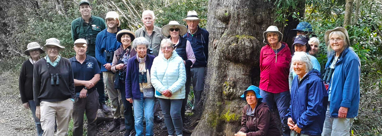 Storms River Village Dendrology Society Visit