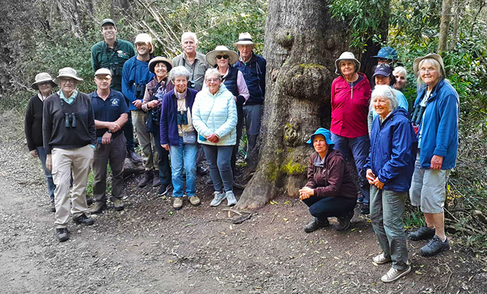 Storms River Village Dendrology Society Visit