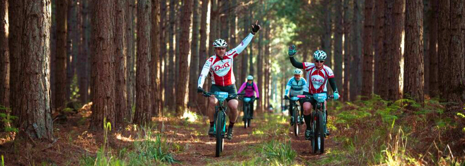 Storms River Village Adventure Cycling in the forest