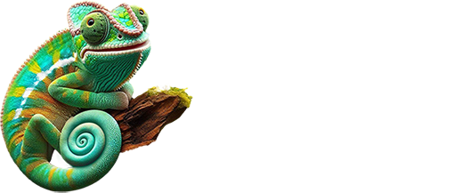 Storms River Village Logo and Storms River Village Chameleon Mascot